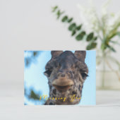 Carte Postale Giraffe douce (Debout devant)