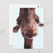 Carte Postale Giraffe Drôle Visage (Devant / Derrière)