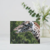 Carte postale Giraffe Eating (Debout devant)