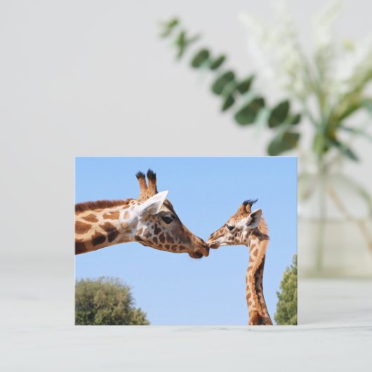 Carte Postale Giraffe et bébé (Debout devant)