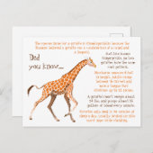 Carte Postale Giraffe Faits amusants Faune (Devant / Derrière)