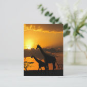 Carte Postale Giraffe Famille 2 (Debout devant)