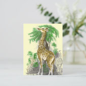 Carte Postale Giraffe Gifts (Debout devant)