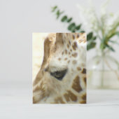 Carte Postale Giraffe I (Debout devant)