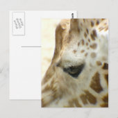 Carte Postale Giraffe I (Devant / Derrière)