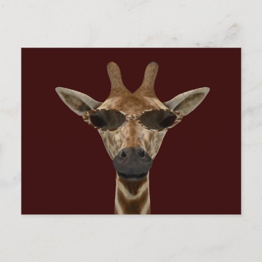 Carte Postale Giraffe Incognito (Devant)