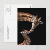 Carte postale Giraffe Kisses (Devant / Derrière)