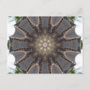 Carte Postale Giraffe Mandala