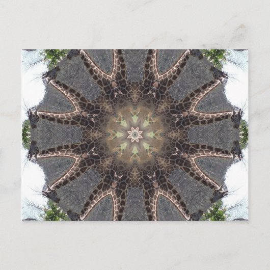 Carte Postale Giraffe Mandala (Devant)