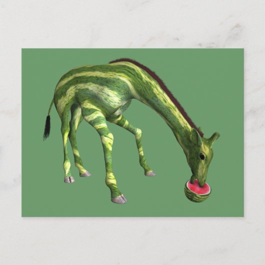Carte Postale Giraffe Manger de la pastèque (Devant)