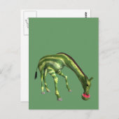 Carte Postale Giraffe Manger de la pastèque (Devant / Derrière)