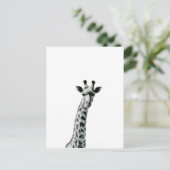 Carte Postale Giraffe noir et blanc (Debout devant)