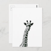 Carte Postale Giraffe noir et blanc (Devant / Derrière)