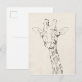 Carte Postale Giraffe Portrait | Croquis (Devant / Derrière)