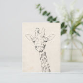 Carte Postale Giraffe Portrait | Croquis (Debout devant)