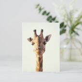 Carte Postale Giraffe rapprochée (Debout devant)