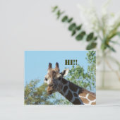 Carte Postale Giraffe, Salut ! ! (Debout devant)