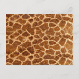 Carte Postale Giraffe Skin