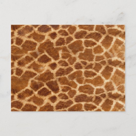 Carte Postale Giraffe Skin (Devant)