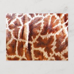 Carte Postale Giraffe Skin_