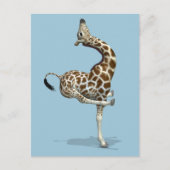 Carte Postale Giraffe sportive bizarre (Devant)