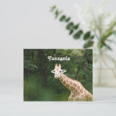 Carte Postale Giraffe tanzanienne (Debout devant)