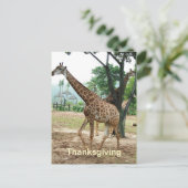 Carte postale Giraffe thanksgiving (Debout devant)