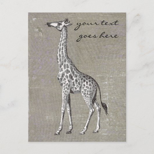 Carte Postale Giraffe vintage (Devant)