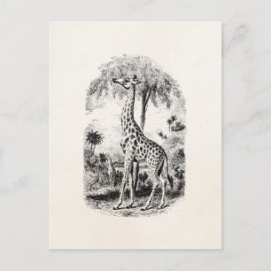 Carte Postale Giraffe vintage Illustration d'animal personnalisé