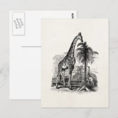 Carte Postale Giraffe vintage Illustration d'animal personnalisé (Devant / Derrière)