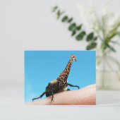 Carte postale Giraffebeetle (Debout devant)