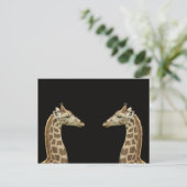 Carte Postale Giraffes (Debout devant)