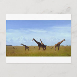 Carte Postale Giraffes africaines Safari