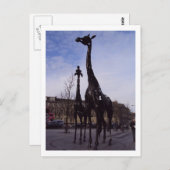 Carte postale Giraffes d'Édimbourg (Devant / Derrière)