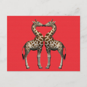 Carte Postale Giraffes Douce Couple En Amour