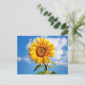 Carte Postale Girassol - Sunflower Four (Debout devant)