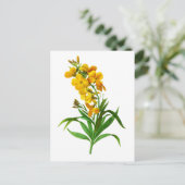 Carte Postale Giroflee Jaune par Pierre Joseph Redoute (Debout devant)