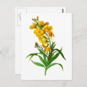 Carte Postale Giroflee Jaune par Pierre Joseph Redoute (Devant / Derrière)