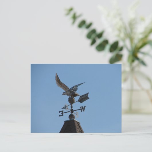 Carte Postale Girouette (Debout devant)