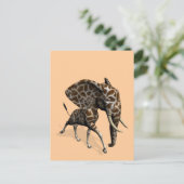 Carte Postale Girphant Ou Eleffe (Debout devant)