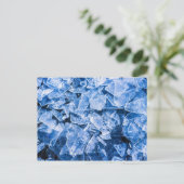 Carte Postale Glace (Debout devant)