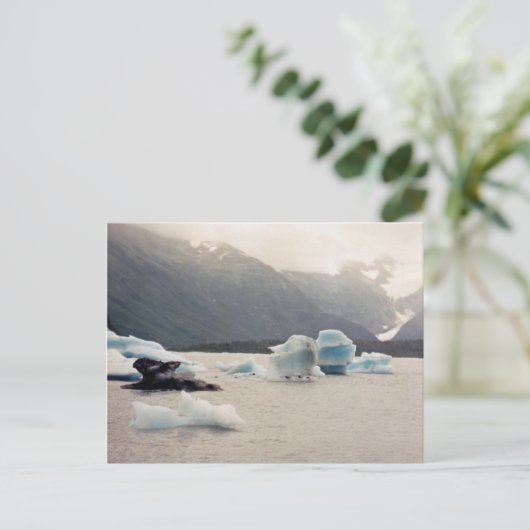 Carte Postale Glace bleue (Debout devant)