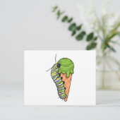 Carte Postale Glace chenille (Debout devant)