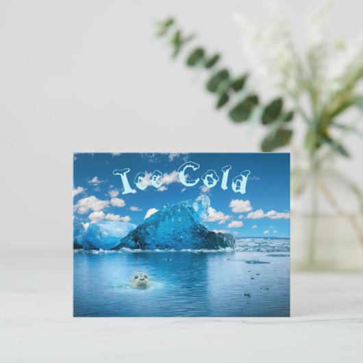 Carte Postale Glace Cold Fun (Debout devant)