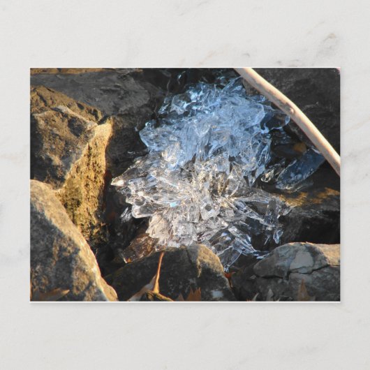 Carte Postale Glace de rivière (Devant)