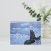 Carte Postale Glace dérivée du lac Notori 2 (Debout devant)