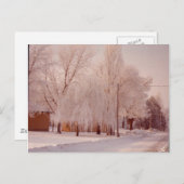 Carte postale glace d'hiver (Devant / Derrière)