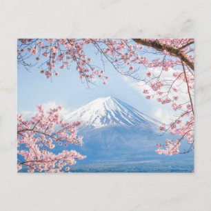 Carte Postale Glace et neige   Cherry Blossoms Mt. Fuji Japon