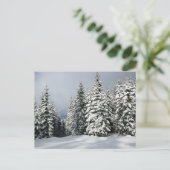Carte Postale Glace et neige | Pine Woodland, Autriche (Debout devant)