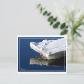 Carte Postale Glace fluviale (Debout devant)